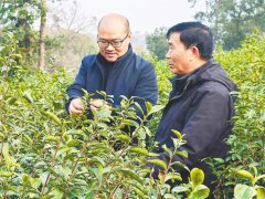既立意高远、又饱含着为平易近